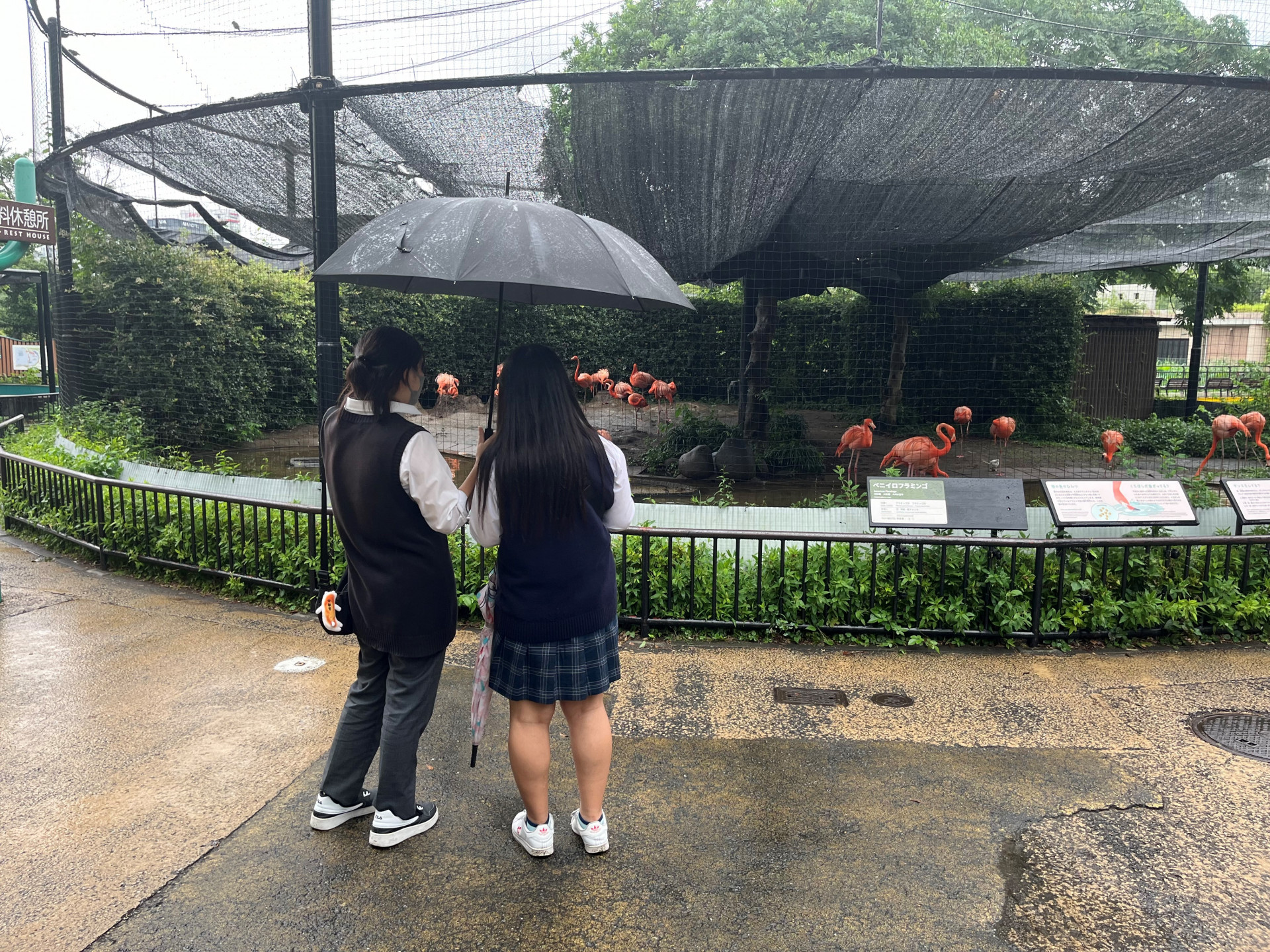 上野動物園　生徒写真